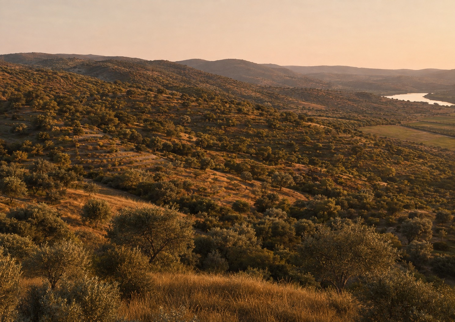 Silves countryside and the Arade valley, conceptual landscape visualisation.